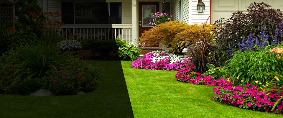 Fairview Landscapers